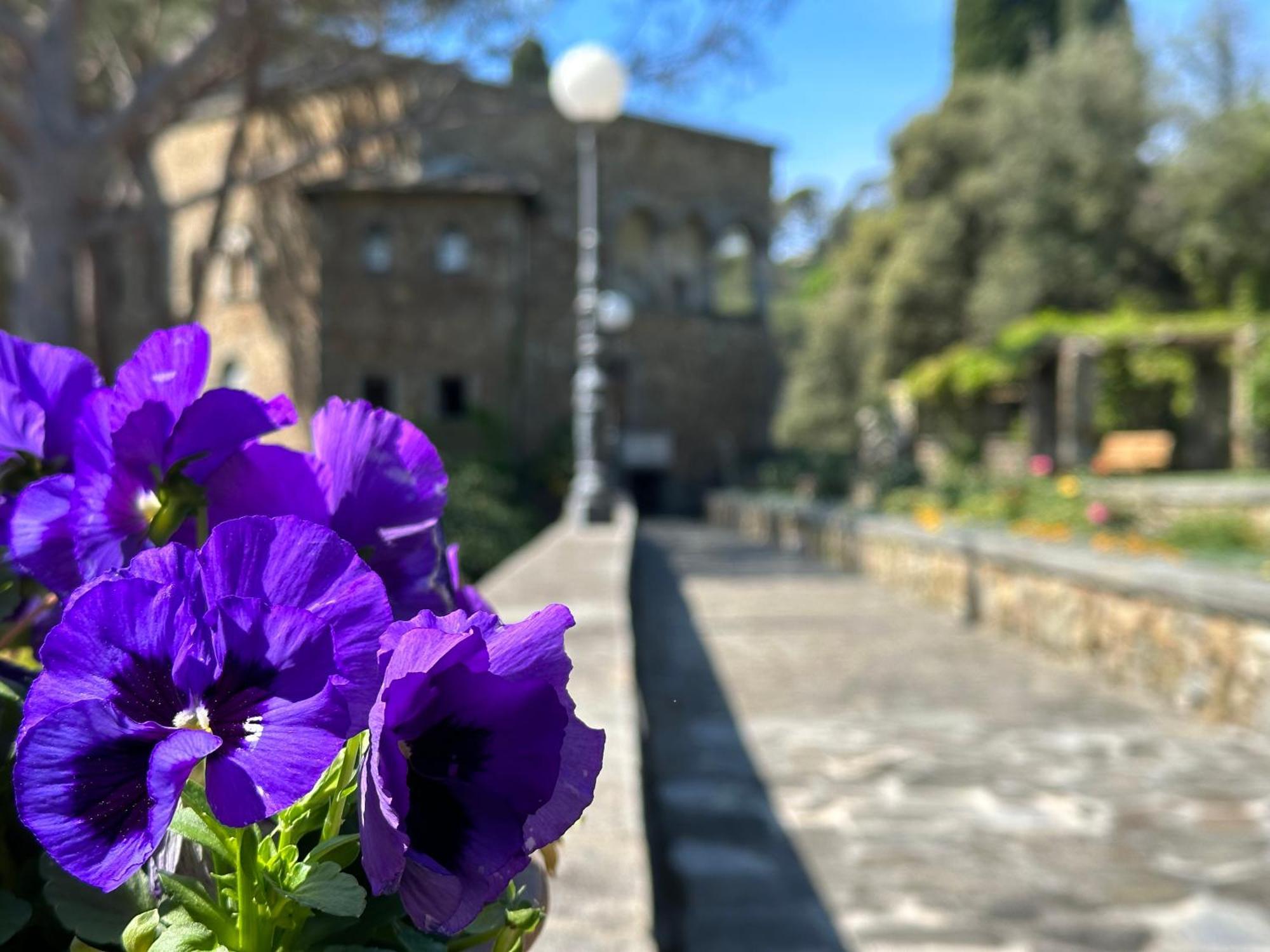 Grand Hotel Dei Castelli Sestri Levante Exterior foto